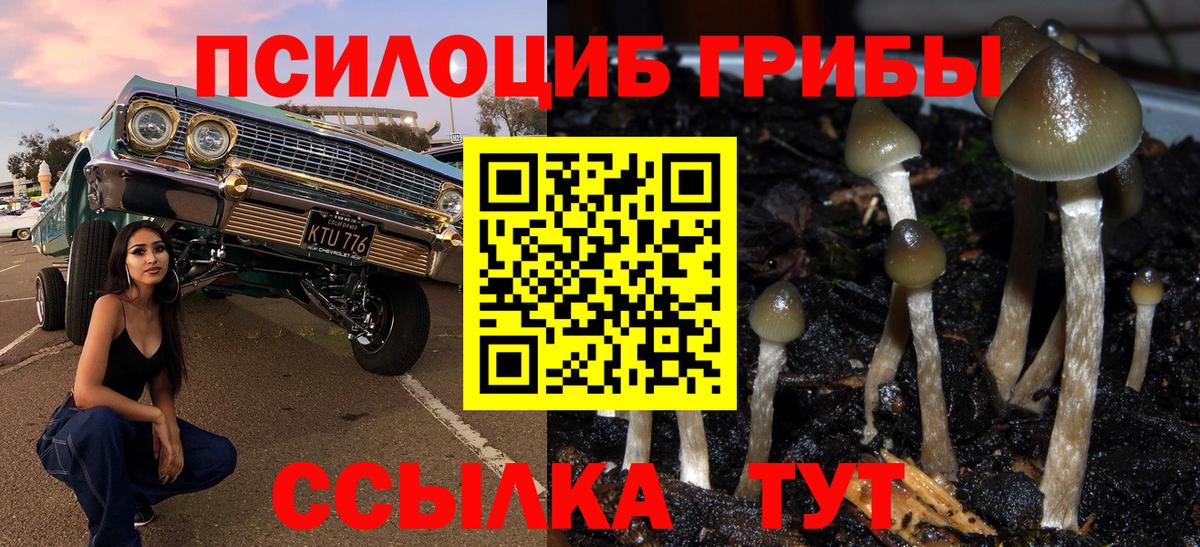 Псилоцибиновые грибы мухоморы  Вход с VPN  Лиски 